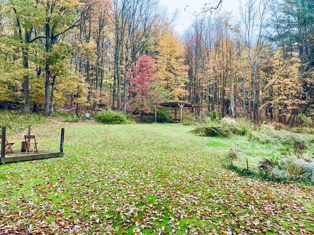 Cozy Cottage With Jacuzzi And Fire Pit And Reading Nook! Livingston Manor Zewnętrze zdjęcie