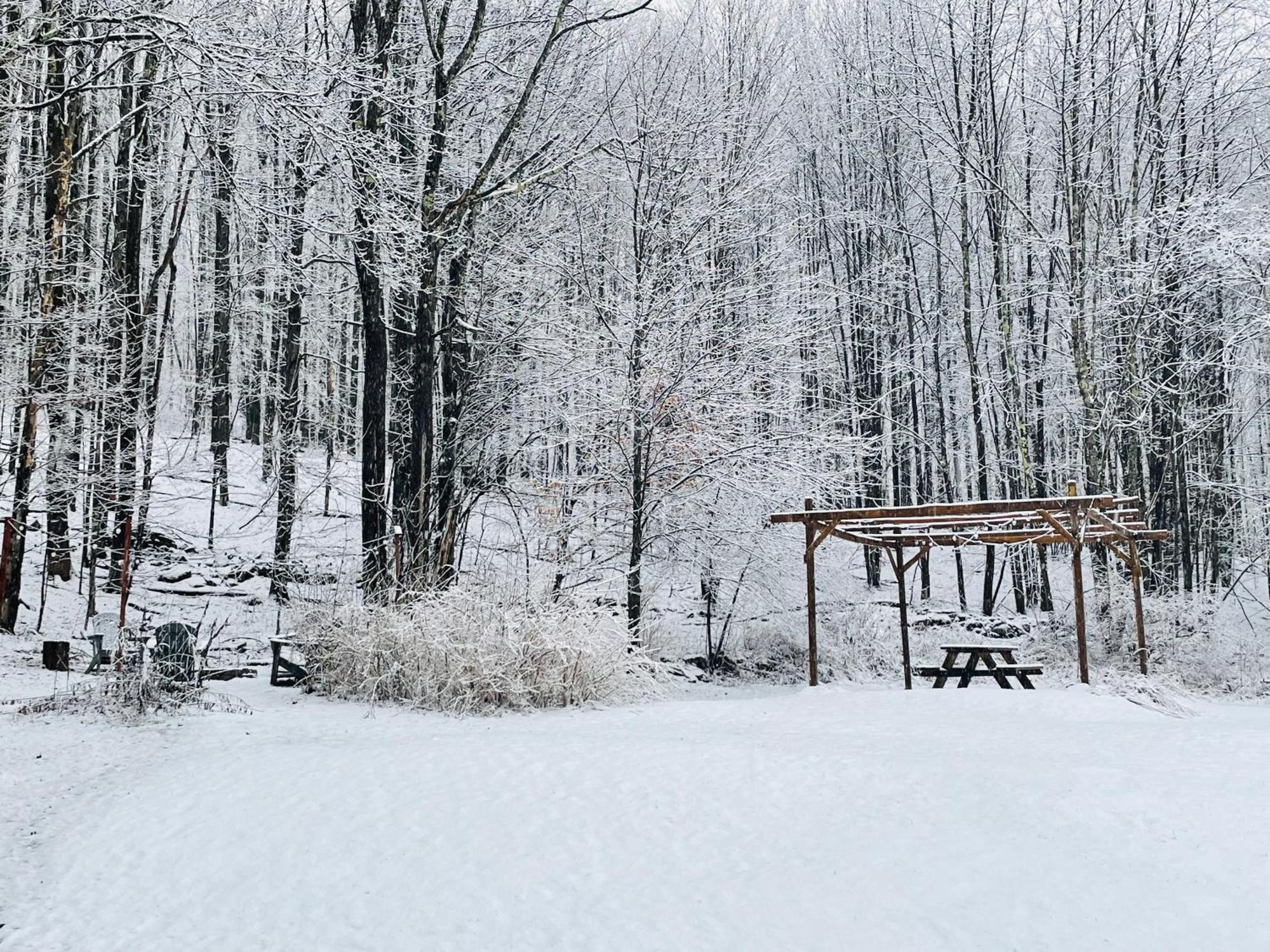 Cozy Cottage With Jacuzzi And Fire Pit And Reading Nook! Livingston Manor Zewnętrze zdjęcie